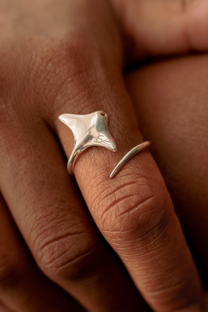 Anillo Voladora