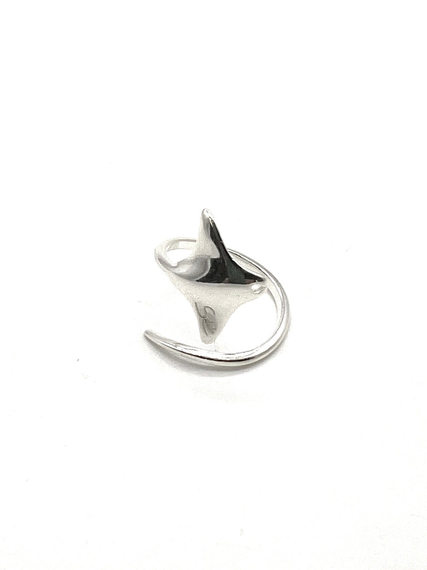 Anillo Voladora