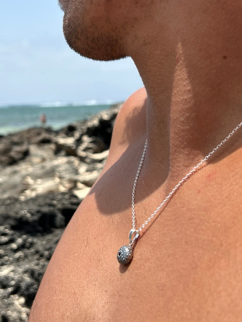 Collar Erizado