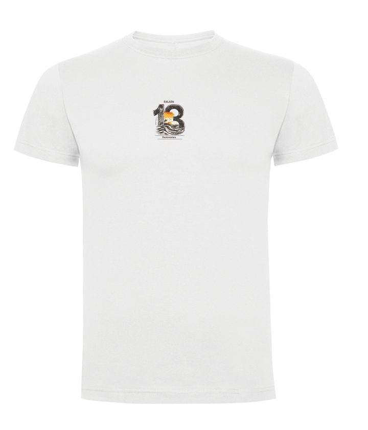 CAMISETA REGALO 13 ANIVERSARIO