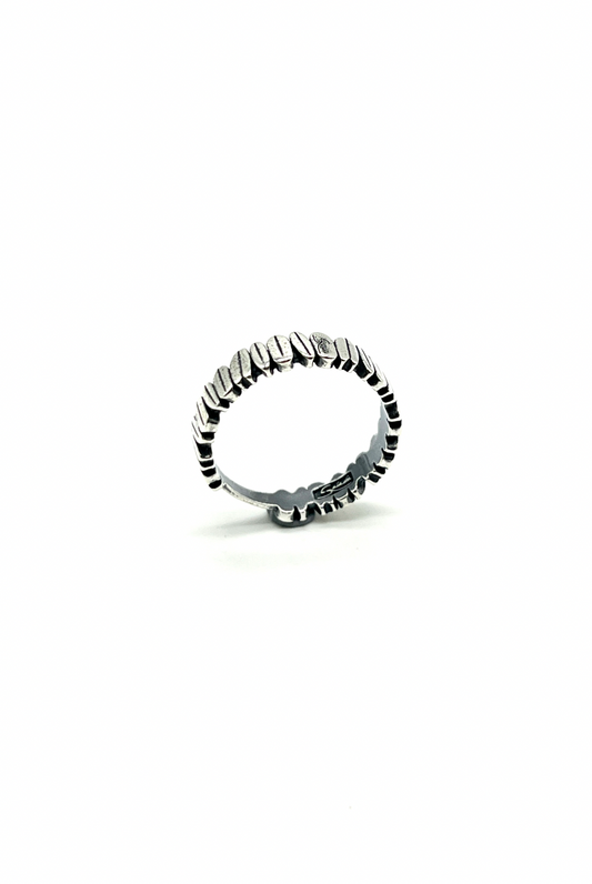 Anillo Quiver