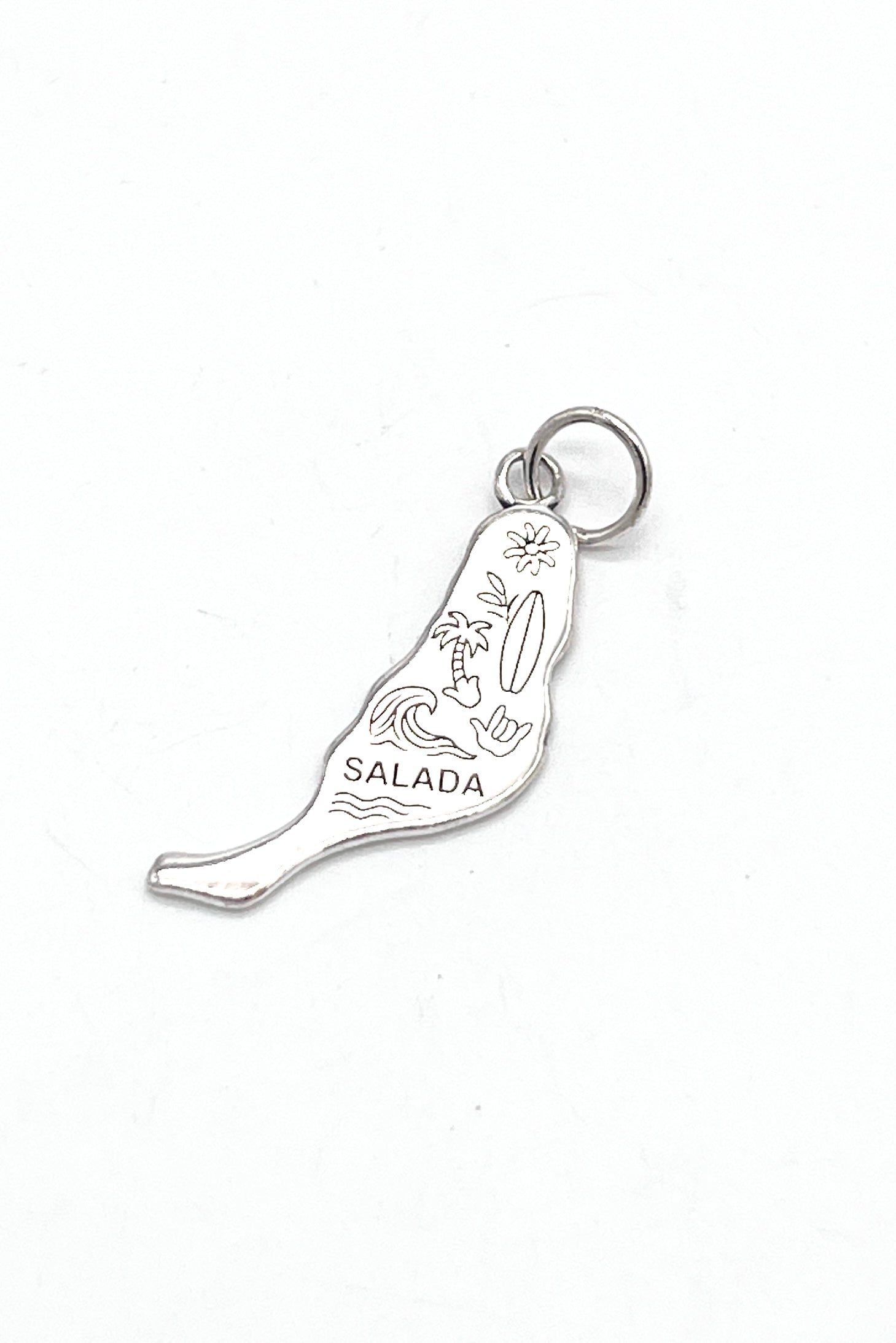 Isla Surfera de Fuerteventura