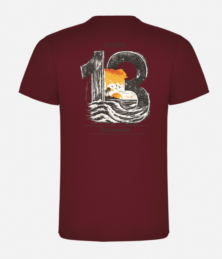 CAMISETA REGALO 13 ANIVERSARIO