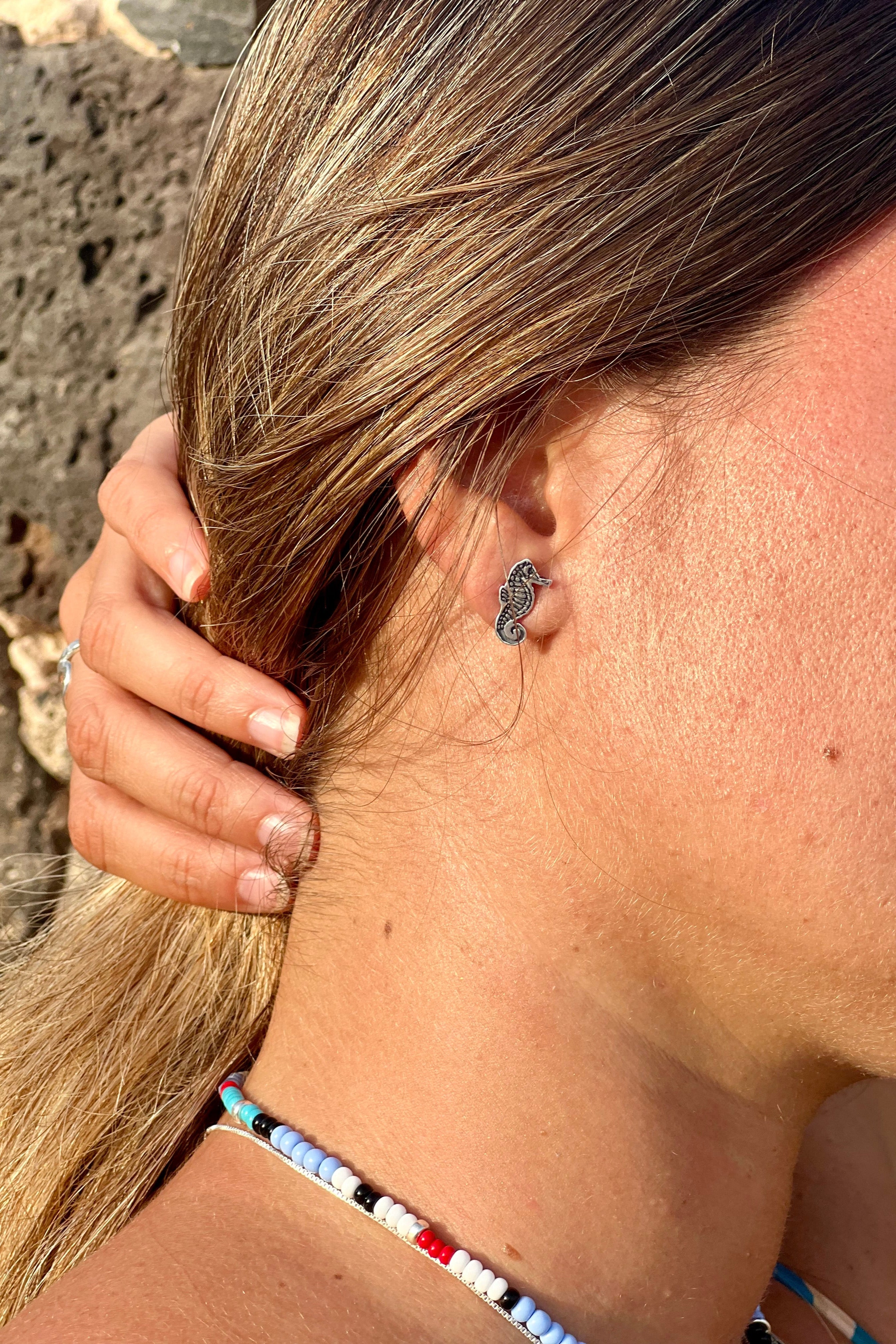 Pendiente Caballito de mar